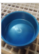 Pet Bowl Plastic Small Size