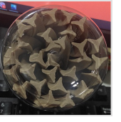 Pet plus Train and Rewards Star Stix Beef Flavor 180g