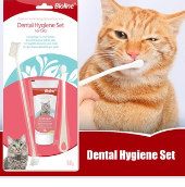 Bioline Dental Toothbrush