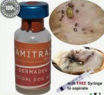 Amitraz Mange