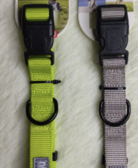 Bow wow Pet Collar Design Small Size