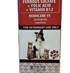 Ferrous Sulfate + Folic Acid + Vitamin B12 120ml - s